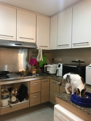 Ris Grandeur (D18), Condominium #163551352